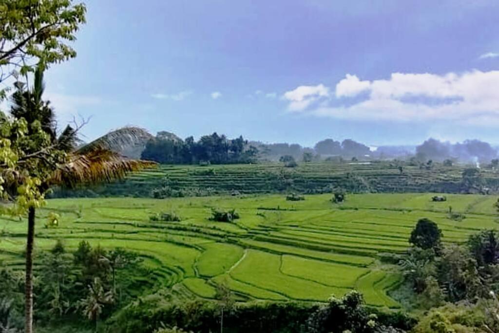 Magic Hills Bali - Magical Eco-Luxury Lodge Selat Екстер'єр фото